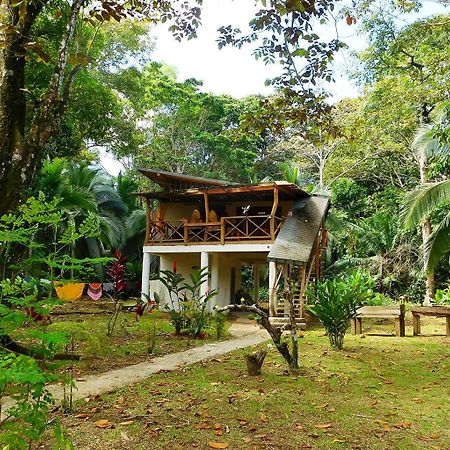 Green Corner Cahuita Esterno foto