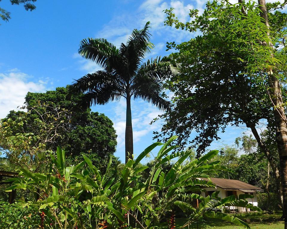 Green Corner Cahuita Esterno foto