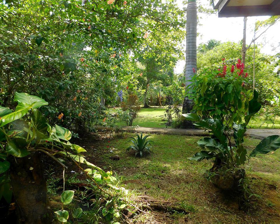 Green Corner Cahuita Esterno foto