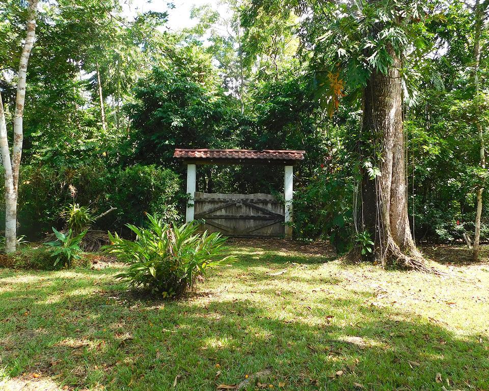 Green Corner Cahuita Esterno foto