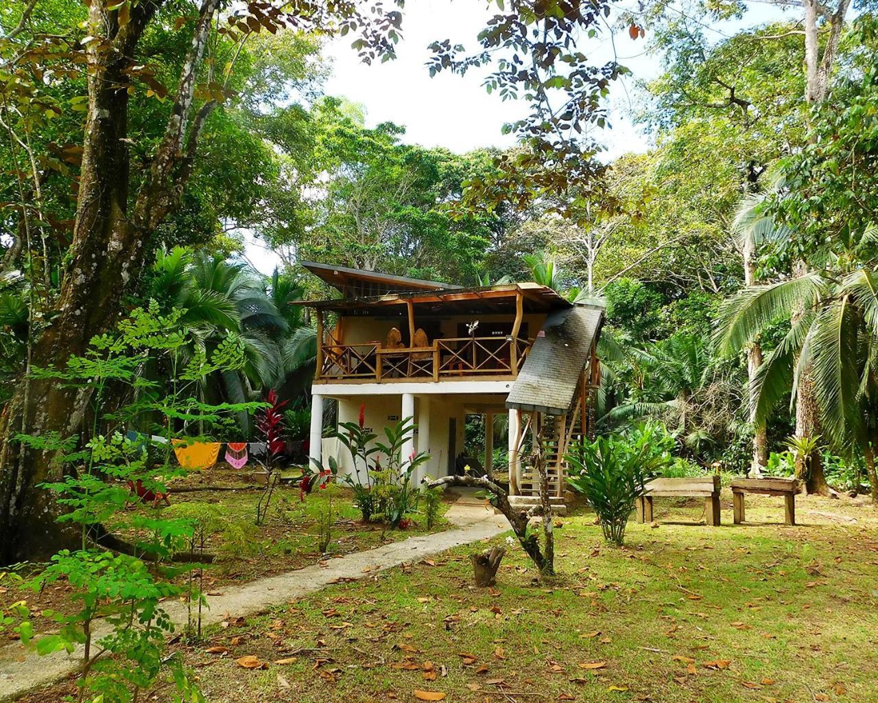 Green Corner Cahuita Esterno foto